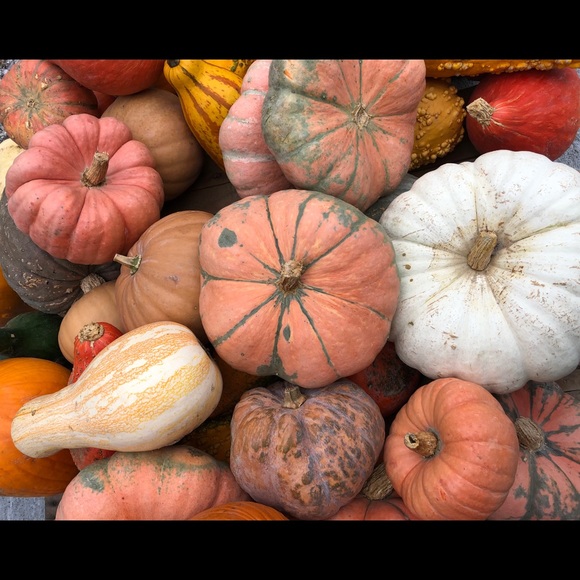 Meet your Posher, Rochelle - Picture 1 of 1